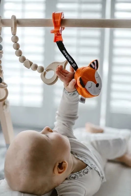 Whisbear - Szumiący Lisek