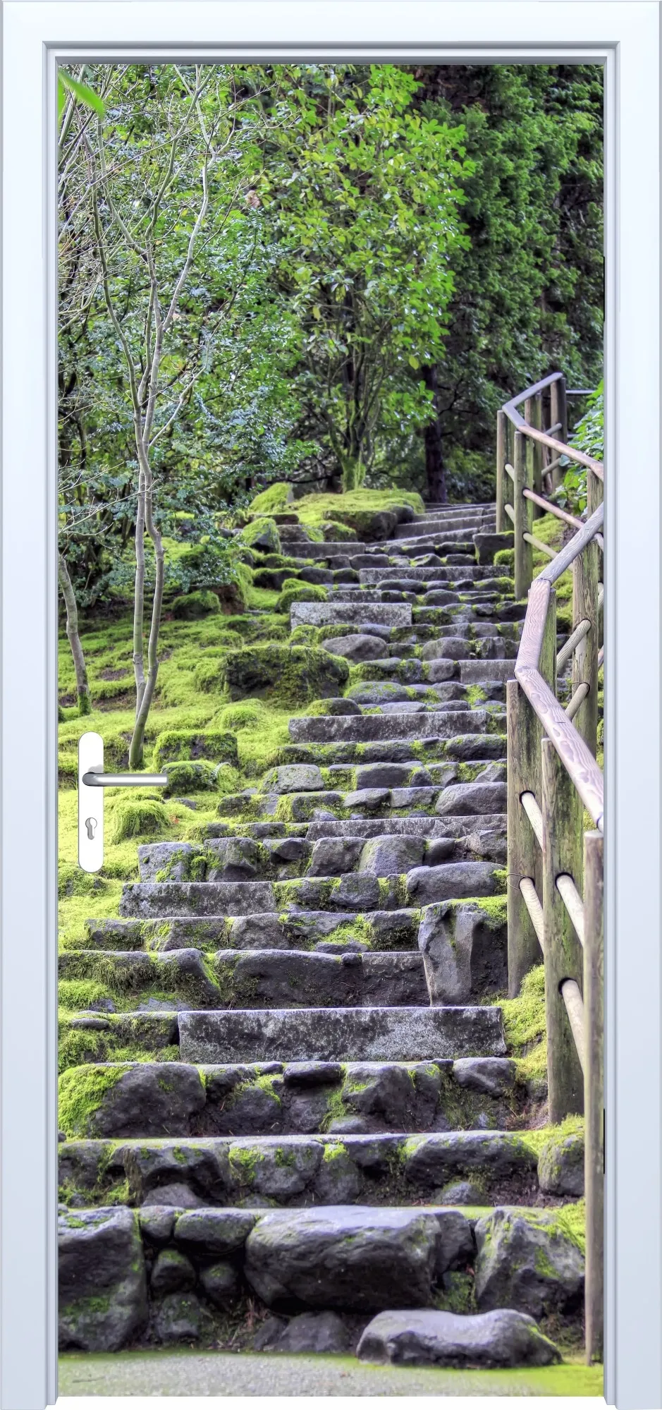 Fototapeta na drzwi las 826