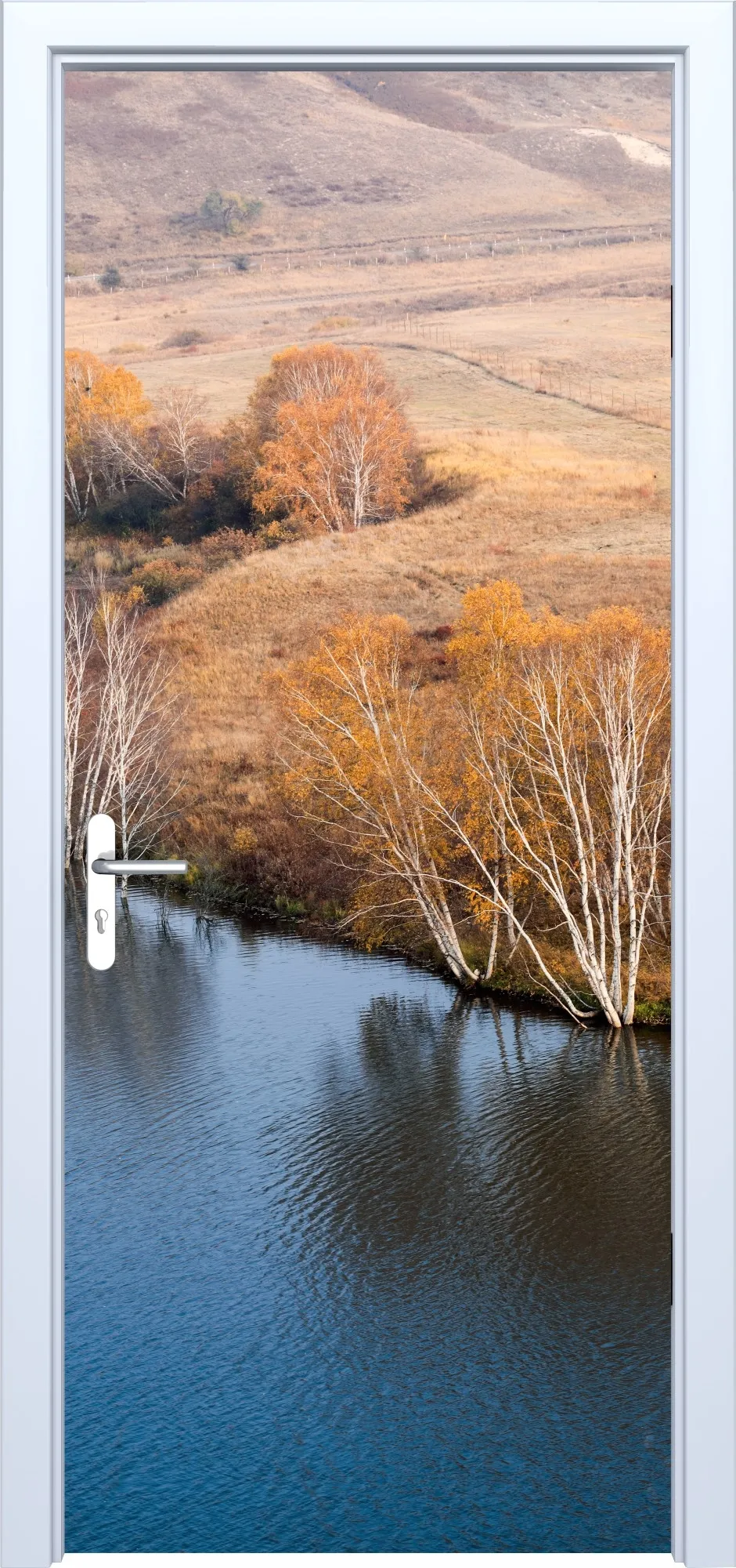 Fototapeta na drzwi drzewa 902