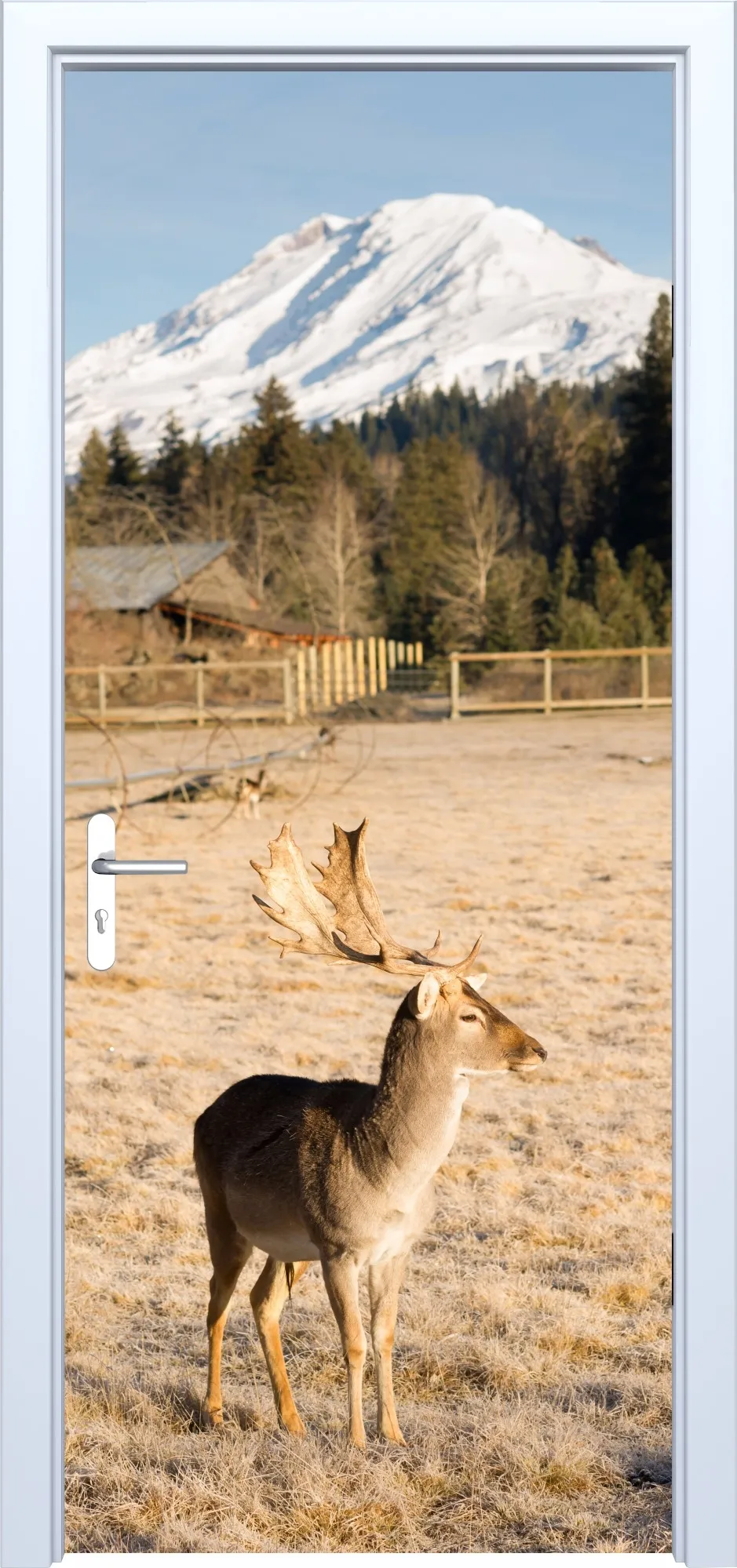 Awaiting product image